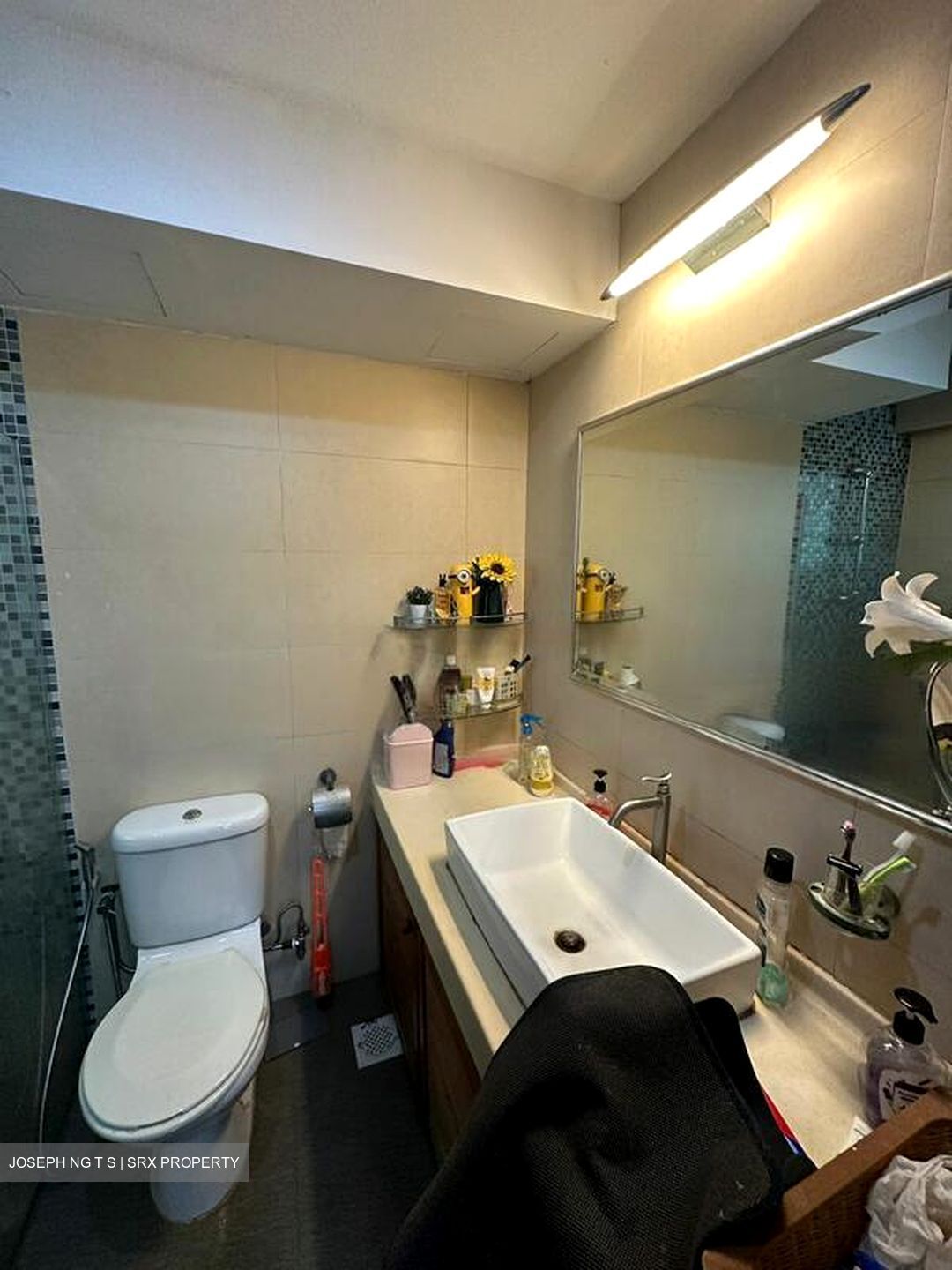 Melville Park (D18), Condominium #632022871